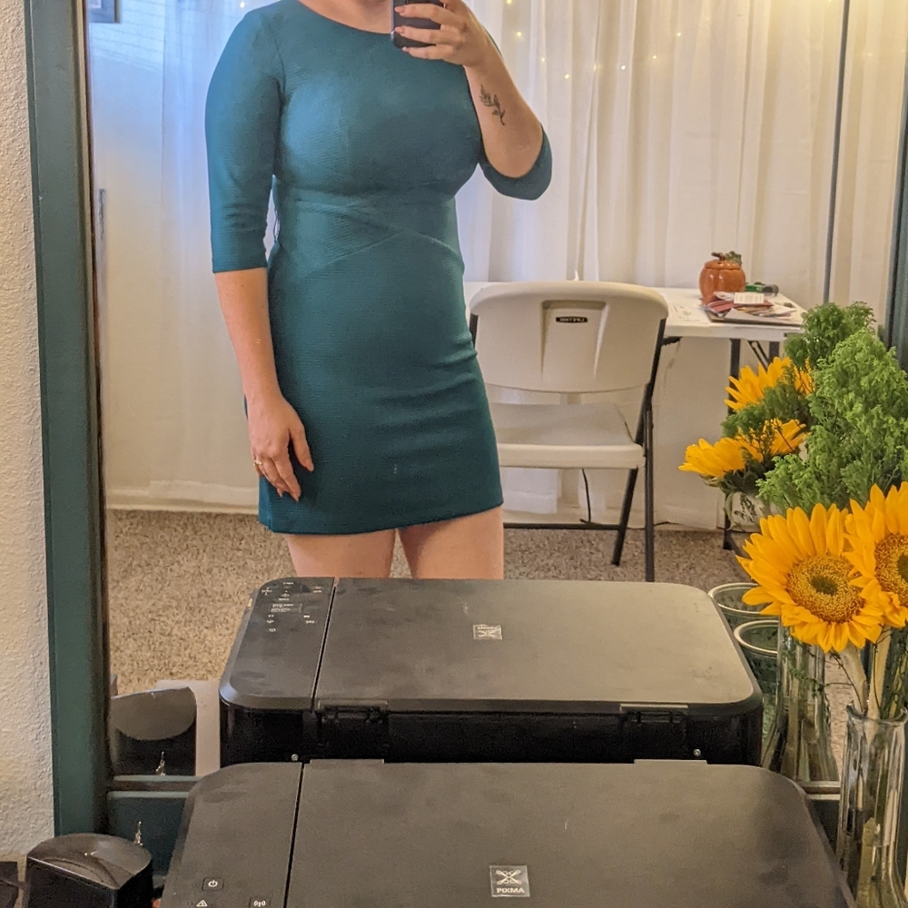 Alyx Petite 3/4 sleeve dress